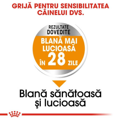 Royal Canin Mini Coat Care Adult – Hrană Uscată pentru Câini Adulți de Talie Mică, pentru Blană Sănătoasă – 3 kg